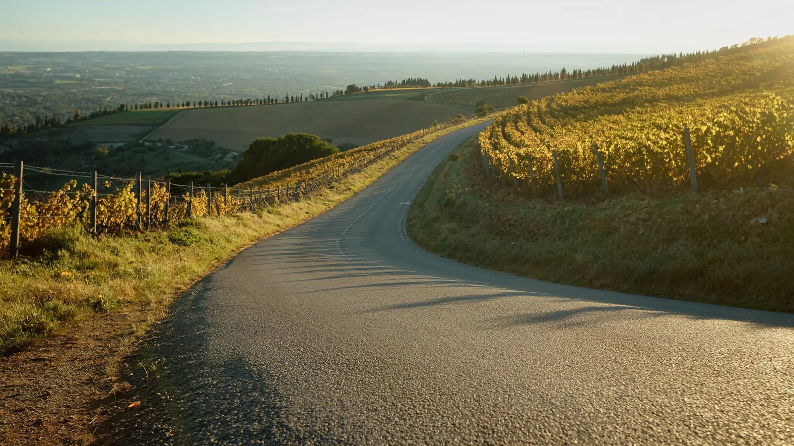 Route de campagne serpentant a travers les vignes au petit matin, coteaux du Sud-Ouest