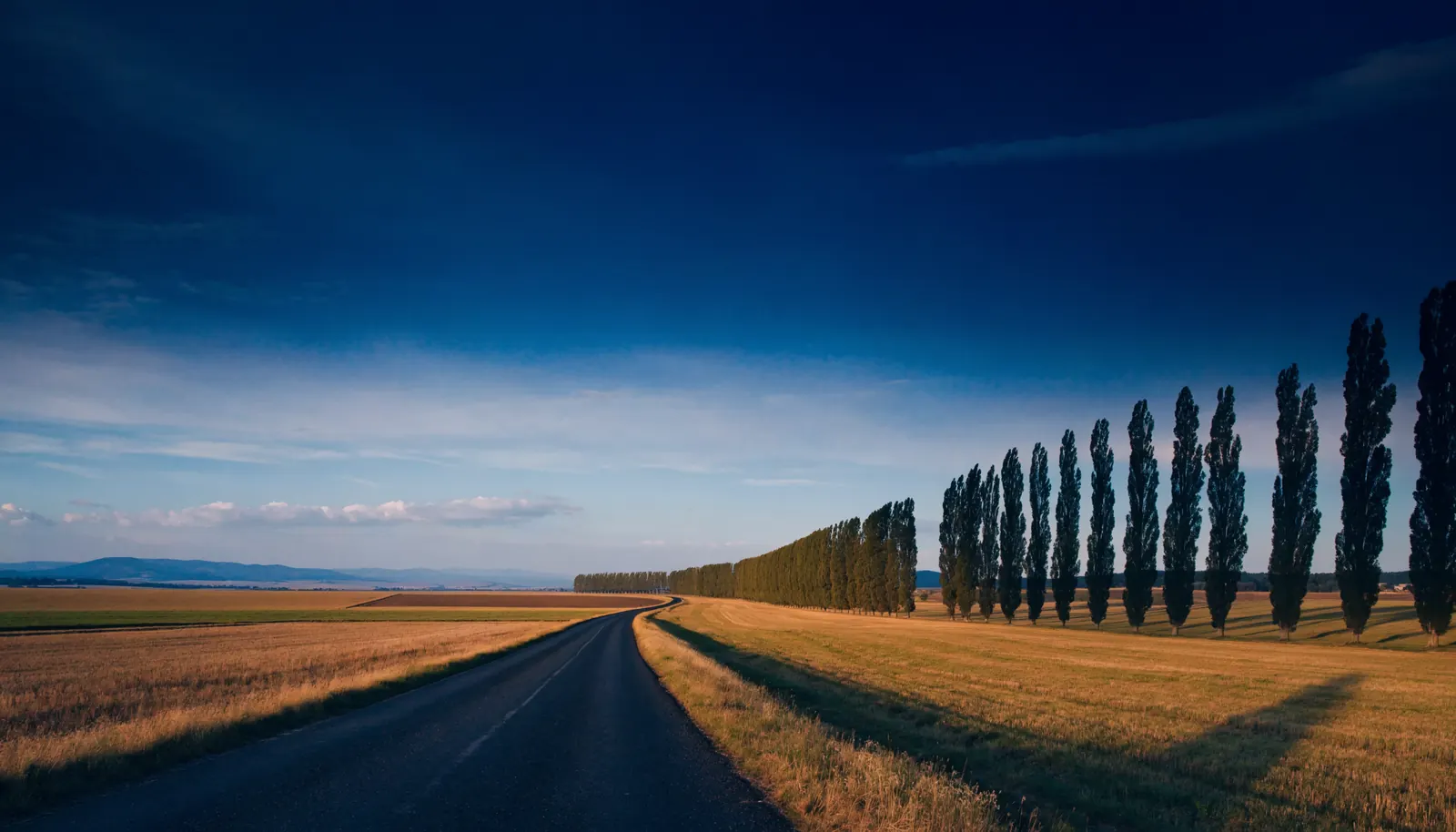 Route ouverte traversant la plaine du Tarn-et-Garonne, rideau de peupliers