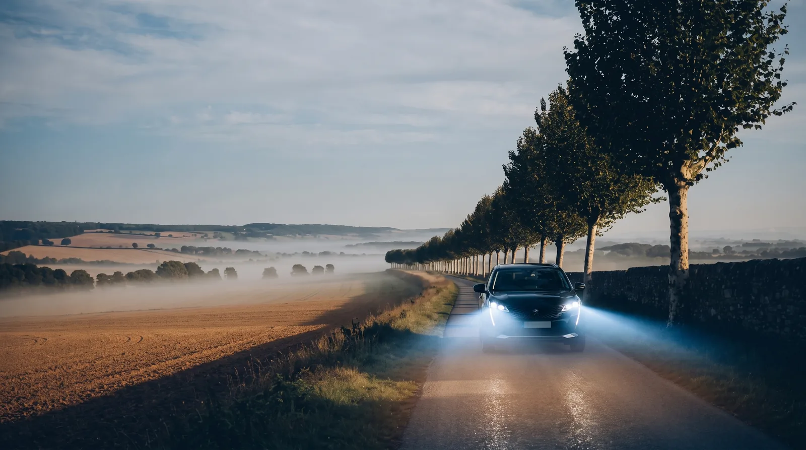 Berline SUV sombre remontant une route bordée de platanes, phares allumés dans la brume du petit matin